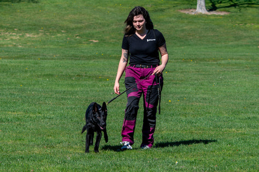 Dog trainer walking German Shepherd at heel during board and train program - K9 Courage Dog Training Manteca CA