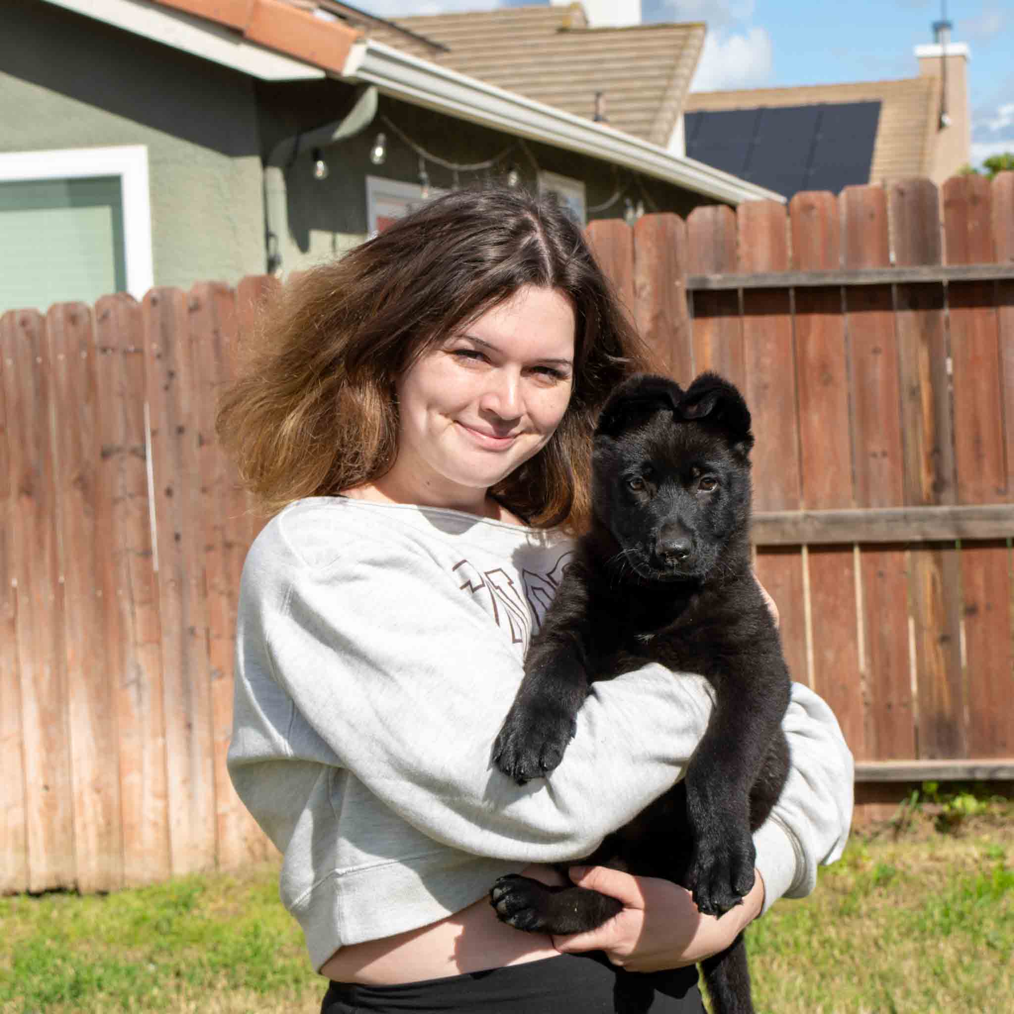 Professional dog trainer holding black German Shepherd puppy K9 Courage Dog Training, Manteca CA